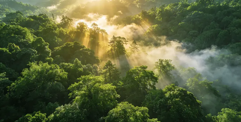 宣城肺癌11基因检测组织版检测图1