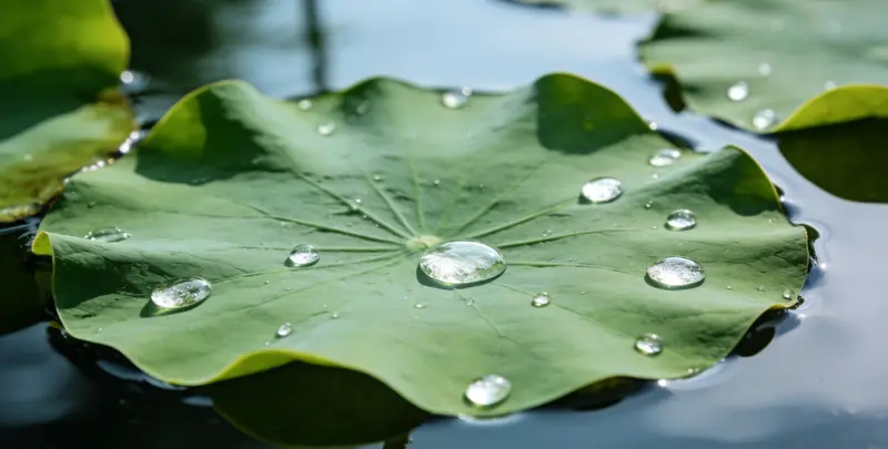 宣城乳腺癌21基因mRNA表达分析检测图1