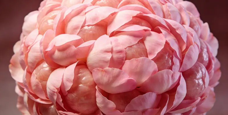 宣城乳腺/卵巢癌靶向120基因检测（组织）检测图1